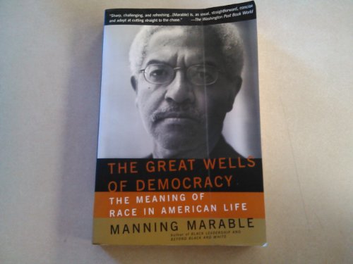 9780465043941: The Great Wells Of Democracy: The Meaning Of Race In American Life
