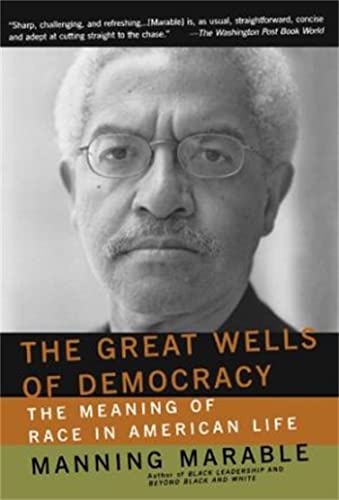 Stock image for The Great Wells Of Democracy: The Meaning Of Race In American Life for sale by Open Books