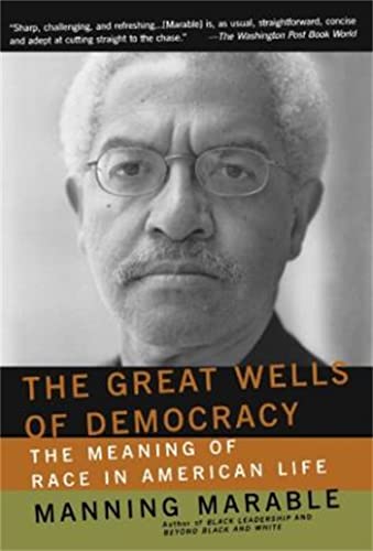 Stock image for The Great Wells Of Democracy: The Meaning Of Race In American Life for sale by Hippo Books
