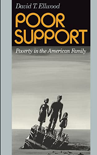 9780465059959: Poor Support: Poverty In The American Family