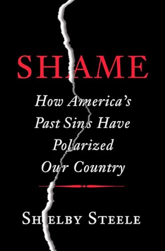 Imagen de archivo de Shame: How America's Past Sins Have Polarized Our Country a la venta por SecondSale