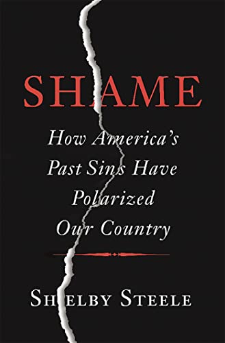 Stock image for Shame: How America's Past Sins Have Polarized Our Country for sale by Dream Books Co.