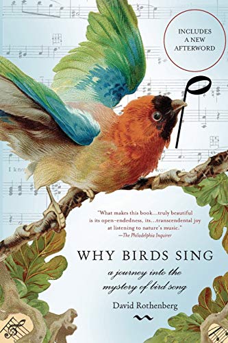 Stock image for Why Birds Sing: A Journey Into the Mystery of Birdsong for sale by SecondSale