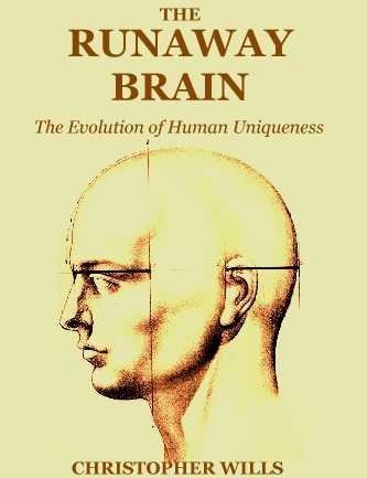 Beispielbild fr The Runaway Brain: The Evolution of Human Uniqueness zum Verkauf von medimops