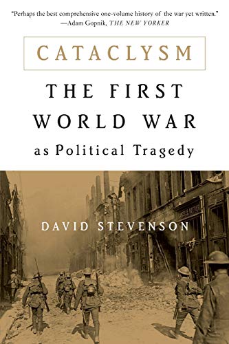 Imagen de archivo de Cataclysm: The First World War as Political Tragedy a la venta por Open Books