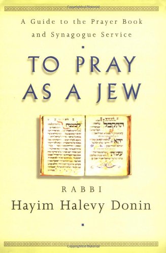 Imagen de archivo de TO PRAY AS A JEW: A Guide to the Prayer Book and the Synagogue Service a la venta por Russ States