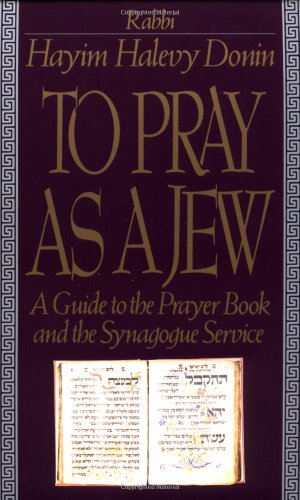 9780465086337: To Pray As a Jew: A Guide to the Prayer Book and the Synagogue Service