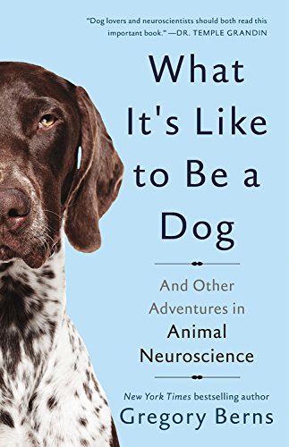 9780465096244: What It's Like to Be a Dog: And Other Adventures in Animal Neuroscience