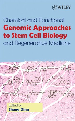 Stock image for Chemical and Functional Genomic Approaches to Stem Cell Biology and Regenerative Medicine for sale by HPB-Red