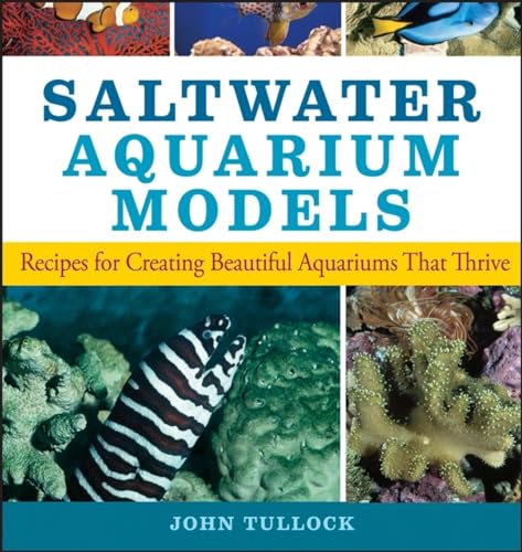 9780470044247: Saltwater Aquarium Models: Recipes for Creating Beautiful Aquariums That Thrive
