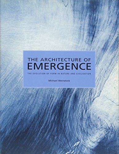 Stock image for The Architecture of Emergence for sale by Blackwell's