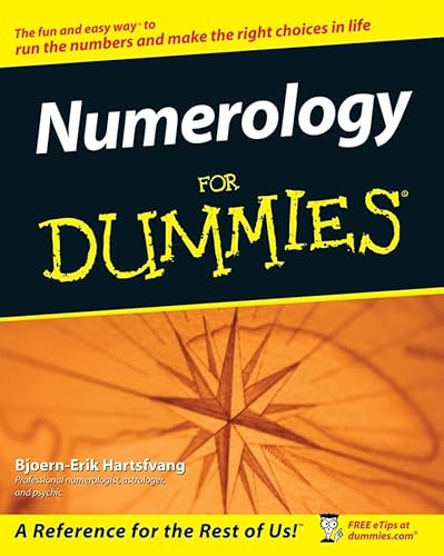 9780470099148: Numerology For Dummies(R)