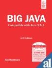 9780470120194: Big Java (Wiley Plus Products)