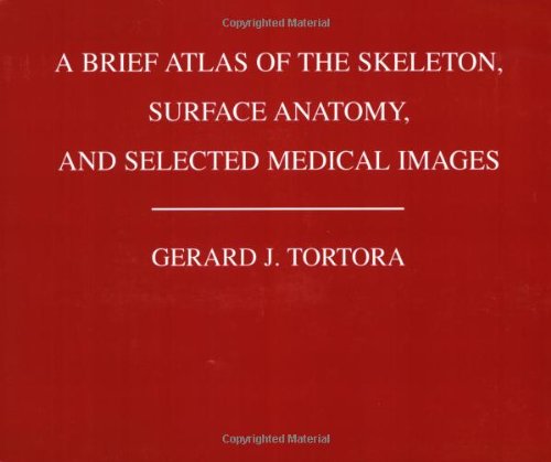 Beispielbild für A Brief Atlas of the Skeleton, Surface Anatomy and Selected Medical Images zum Verkauf von SecondSale