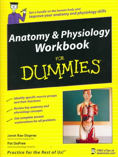 9780470169322: Anatomy & Physiology Workbook for Dummies