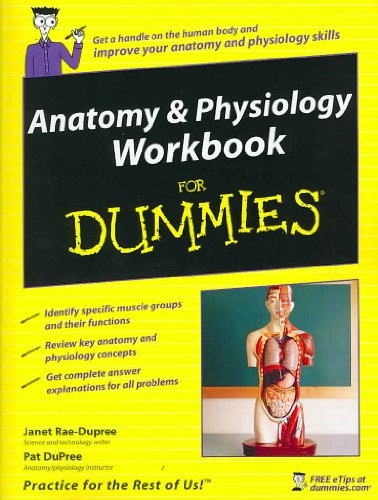 Stock image for Anatomy and Physiology Workbook For Dummies for sale by SecondSale