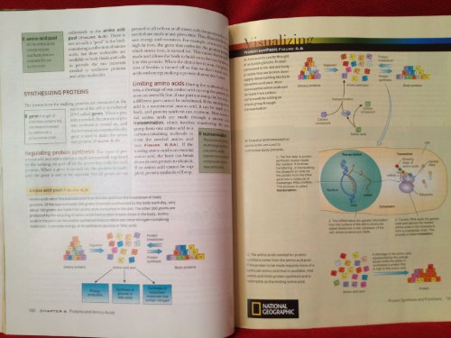 Imagen de archivo de Visualizing Nutrition a la venta por BookHolders