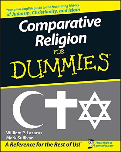 Stock image for Comparative Religion for Dummies for sale by Blackwell's