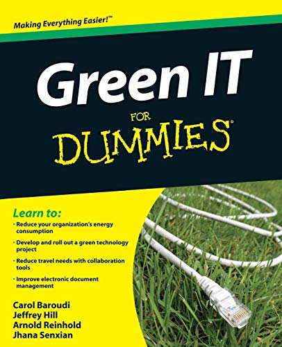 9780470386880: Green IT For Dummies