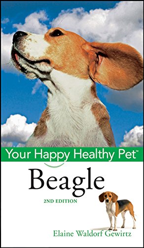 Imagen de archivo de Beagle : Your Happy Healthy Pet a la venta por Better World Books