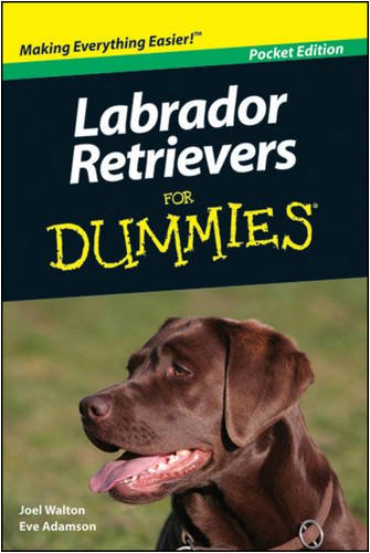 9780470449905: Labrador Retrievers for Dummies