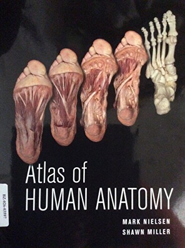 Stock image for Atlas of Human Anatomy for sale by BooksRun