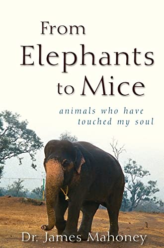 Stock image for From Elephants to Mice : Animals Who Have Touched My Soul for sale by Better World Books