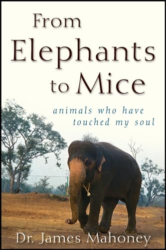 From Elephants to Mice: Animals Who Have Touched My Soul