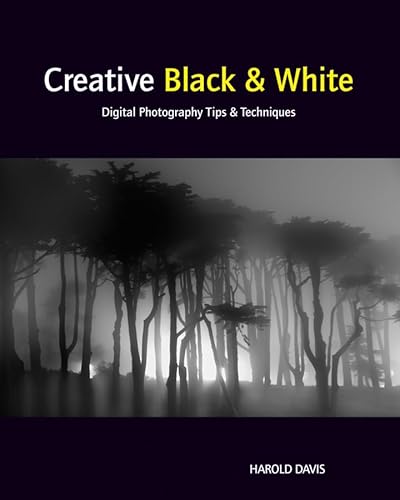 Imagen de archivo de Creative Black & White: Digital Photography Tips & Techniques a la venta por Ergodebooks