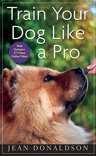 Stock image for Train Your Dog Like a Pro for sale by BooksRun