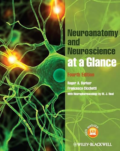 Beispielbild fr Neuroanatomy and Neuroscience at a Glance (4th Edn) zum Verkauf von Anybook.com