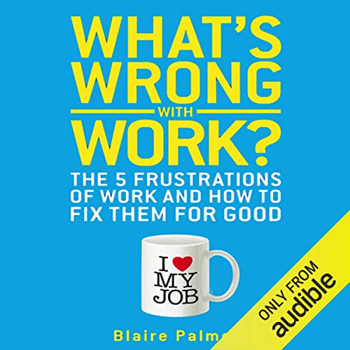 9780470660973: What′s Wrong with Work?: The 5 Frustrations of Work and How to Fix them for Good