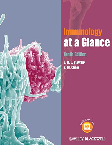 Beispielbild fr Immunology at a Glance, 10th Edition zum Verkauf von WorldofBooks
