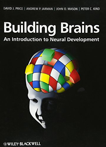 Stock image for Building Brains: An Introduction to Neural Development for sale by JEANCOBOOKS