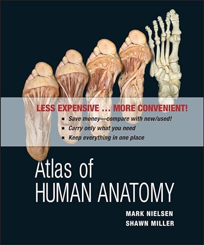Stock image for Atlas of Human Anatomy for sale by Bulrushed Books