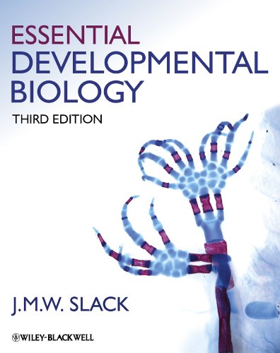 Stock image for Essential Developmental Biology for sale by Anybook.com