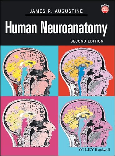 Imagen de archivo de Human Neuroanatomy a la venta por SecondSale