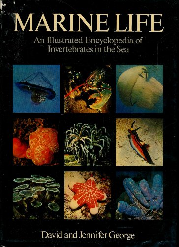 Imagen de archivo de Marine Life: An Illustrated Encyclopedia of Invertebrates in the Sea a la venta por Books of the Smoky Mountains