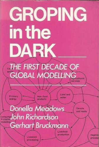 9780471100270: Groping in the Dark: The First Decade of Global Modelling