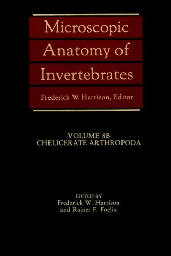 Stock image for Microscopic Anatomy of Invertebrates - Chelicerate Arthropoda for sale by Basi6 International