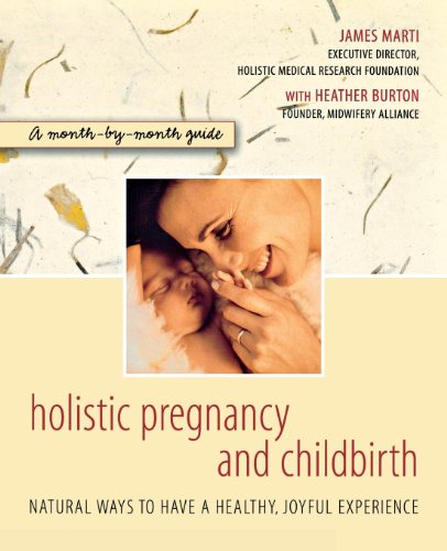 Stock image for Holistic Pregnancy and Childbirth for sale by Better World Books