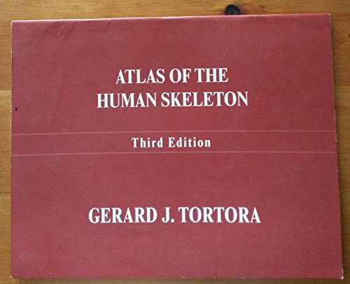 Beispielbild für Atlas of the Human Skeleton zum Verkauf von SecondSale