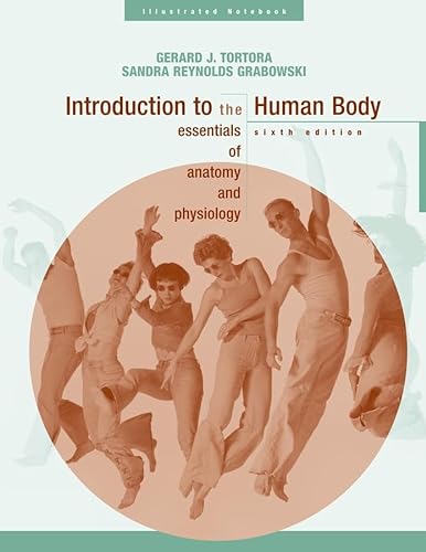 Stock image for Introduction to the Human Body : The Essentials of Anatomy and Physiology Illustrated Note Book for sale by The Book Nest Ltd