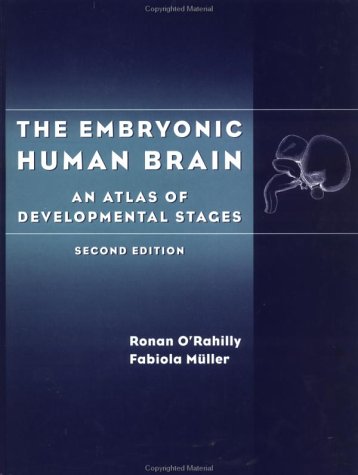 Stock image for The Embryonic Human Brain for sale by Books Puddle