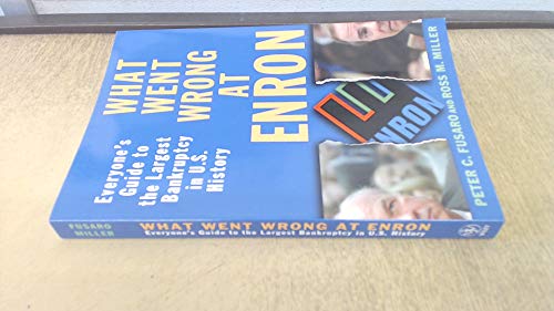 Stock image for What Went Wrong at Enron: Everyone's Guide to the Largest Bankruptcy in U.S. History for sale by Wonder Book