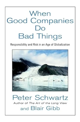 Beispielbild fr When Good Companies Do Bad Things: Responsibility and Risk in an Age of Globalization zum Verkauf von Goodwill