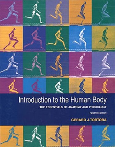 Beispielbild fr INTRODUCTION TO THE HUMAN BODY: zum Verkauf von BennettBooksLtd