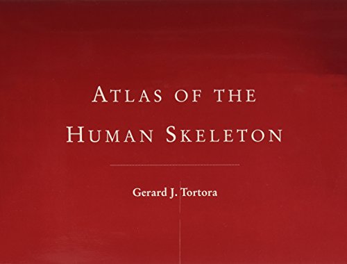 Beispielbild fr Atlas of the Human Skeleton zum Verkauf von Wonder Book