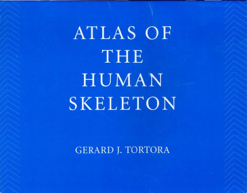 Imagen de archivo de Atlas of the Human Skeleton a la venta por Better World Books: West