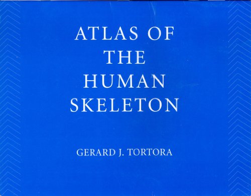 Stock image for PRINCIPLES OF ANATOMY AND PHYSIOLOGY: ATLAS OF THE HUMAN SKELETON UPDATE TO 9R.E. for sale by Romtrade Corp.